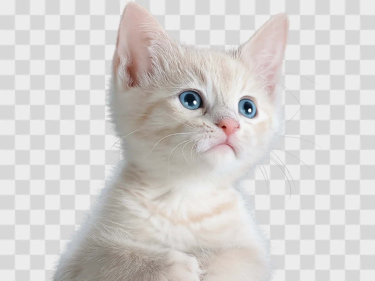 AI Background Remover